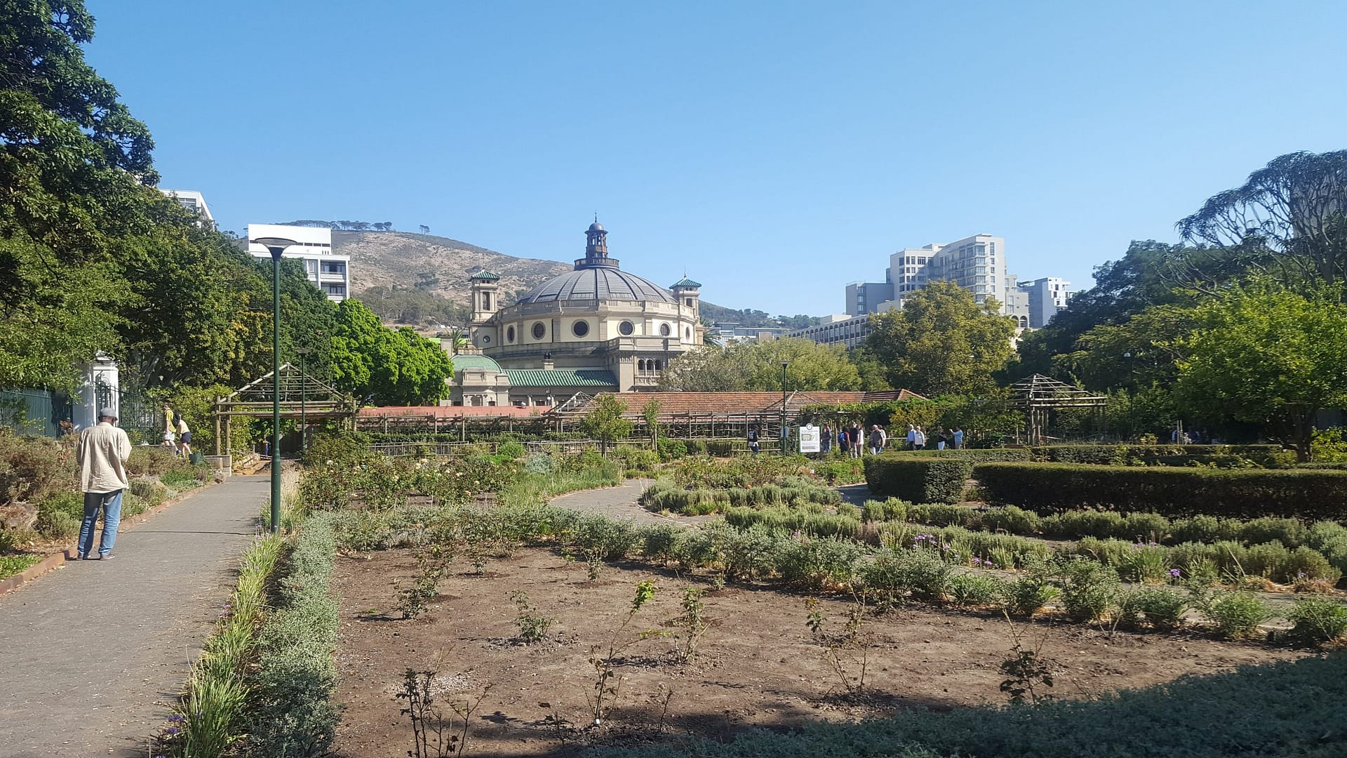 The Centre of The Book in Cape Town taken from inside the Company gardens