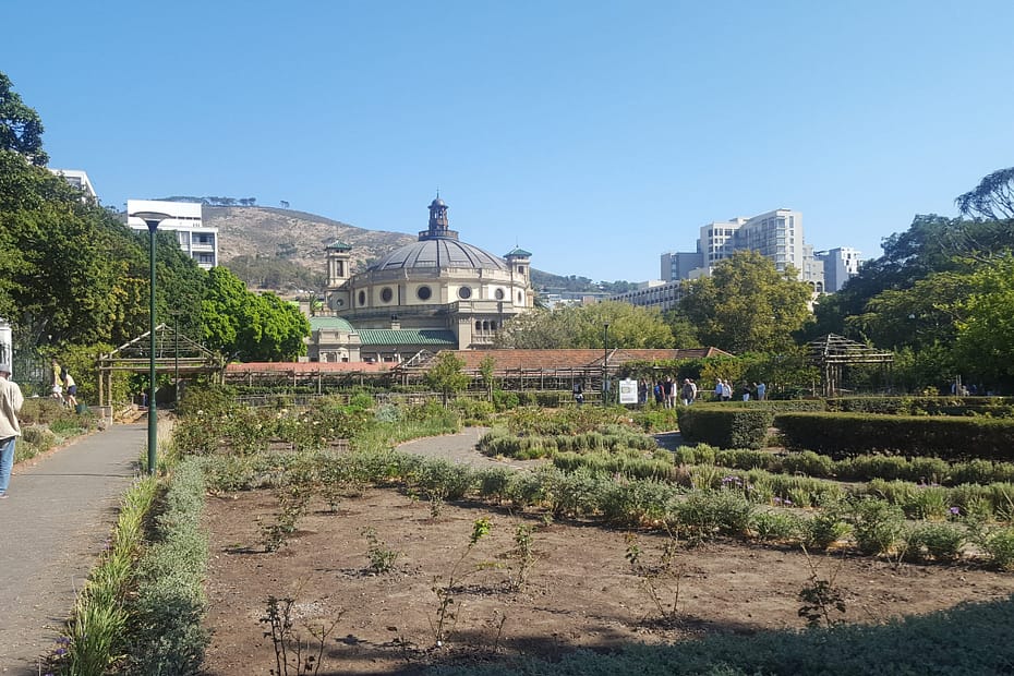 The Centre of The Book in Cape Town taken from inside the Company gardens